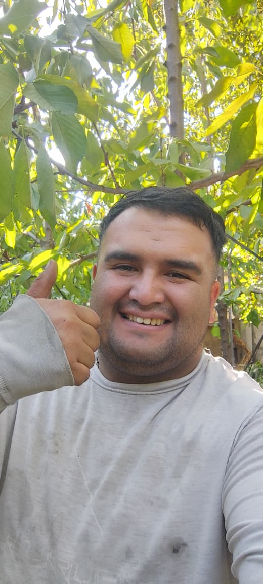 José, técnico mecánico de Curicó